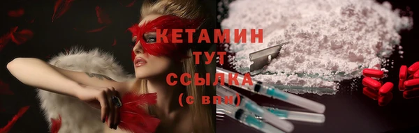 индика Лабытнанги