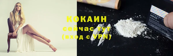 индика Лабытнанги