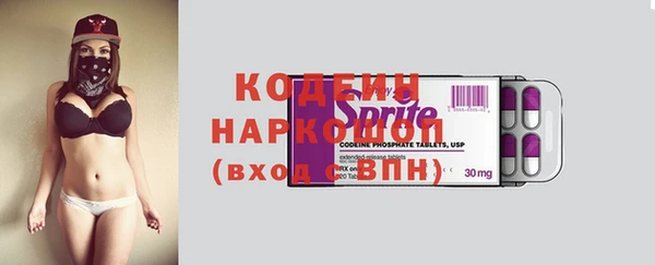 индика Лабытнанги