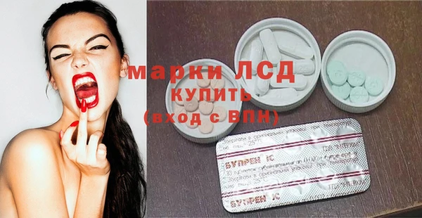 индика Лабытнанги