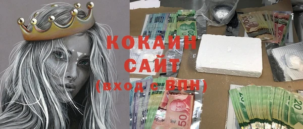индика Лабытнанги