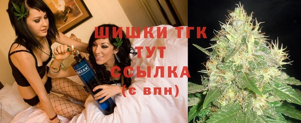 индика Лабытнанги