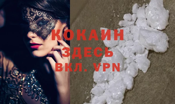 индика Лабытнанги