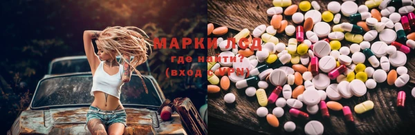 индика Лабытнанги