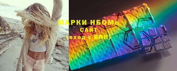 индика Лабытнанги