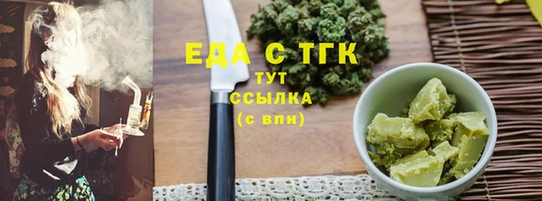 индика Лабытнанги
