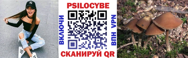 Галлюциногенные грибы мицелий  Черногорск 