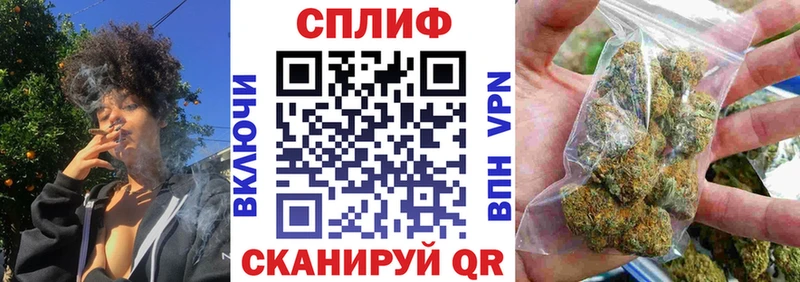 Шишки марихуана план  hydra ТОР  Черногорск  что такое наркотик 
